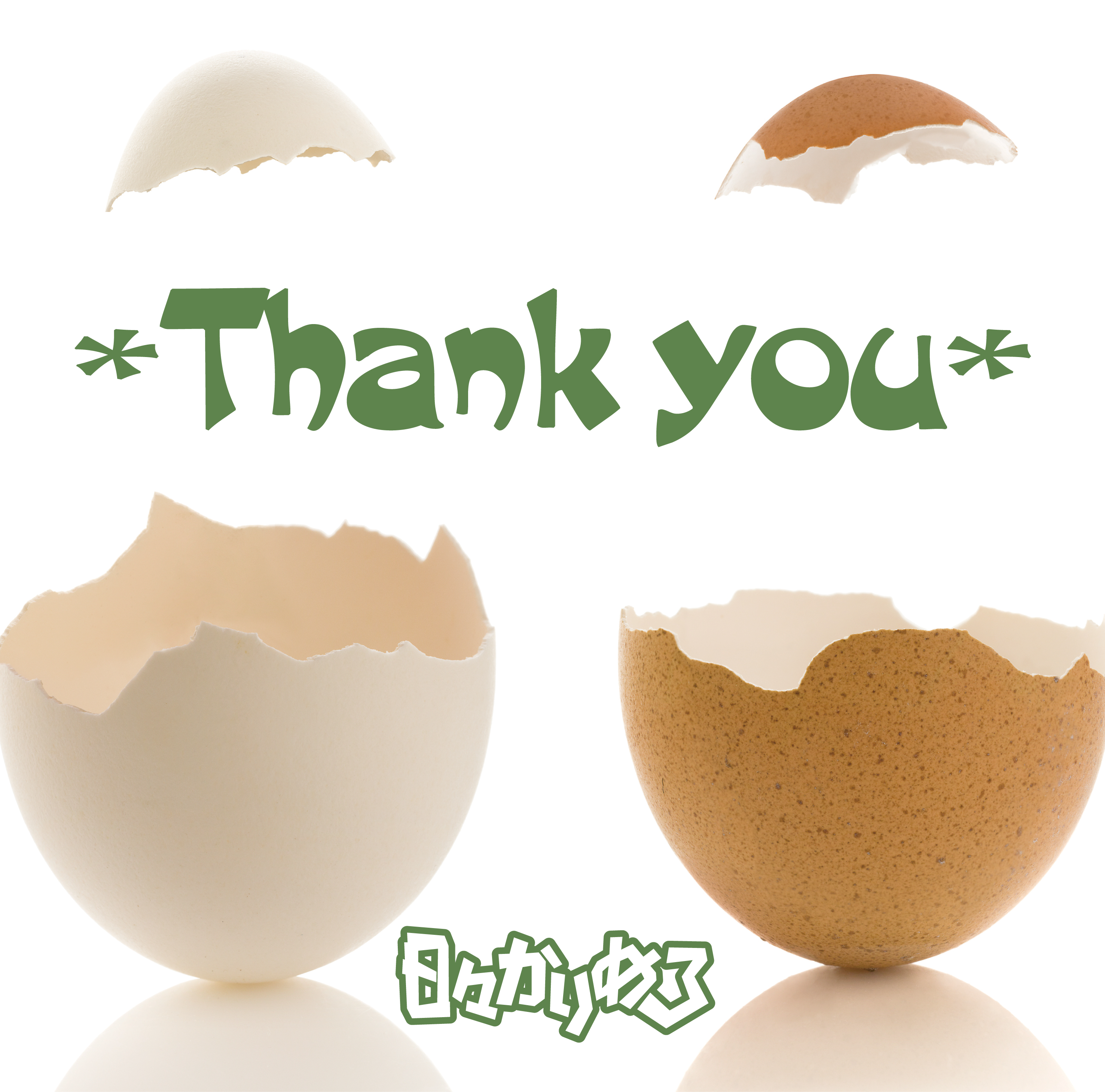 Thank you